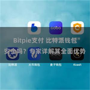 Bitpie支付 比特派钱包安全吗？专家详解其全面优势