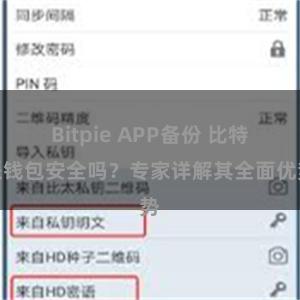 Bitpie APP备份 比特派钱包安全吗？专家详解其全面优势