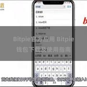 Bitpie官方应用 Bitpie钱包下载及使用指南