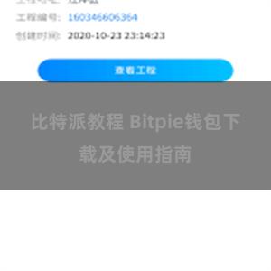 比特派教程 Bitpie钱包下载及使用指南