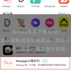 Bitpie应用下载 Bitpie钱包最新版本下载教程及功能亮点，尽在一篇文章中详解