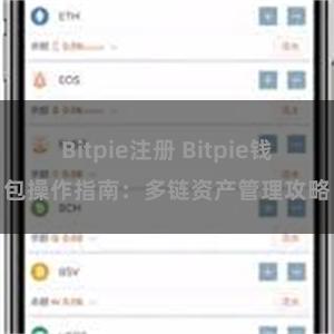 Bitpie注册 Bitpie钱包操作指南：多链资产管理攻略