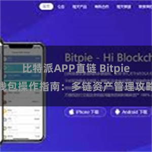 比特派APP直链 Bitpie钱包操作指南：多链资产管理攻略