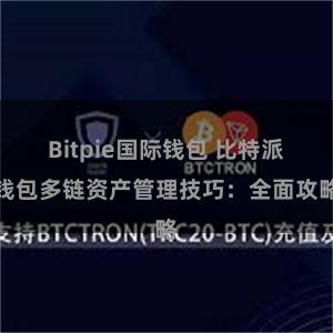 Bitpie国际钱包 比特派钱包多链资产管理技巧：全面攻略