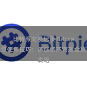 比特派交易记录 Bitpie钱包使用技巧：多链资产管理全攻略