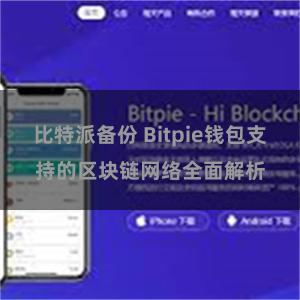 比特派备份 Bitpie钱包支持的区块链网络全面解析