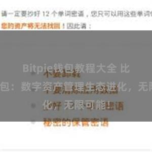 Bitpie钱包教程大全 比特派钱包：数字资产管理生态进化，无限可能！