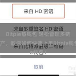 Bitpie热钱包 轻松管理多链资产，教你如何快速上手Bitpie钱包！