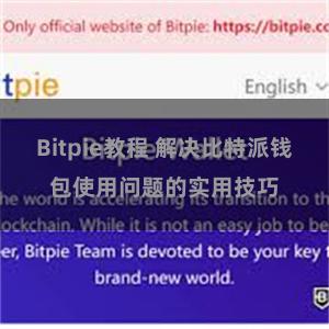 Bitpie教程 解决比特派钱包使用问题的实用技巧