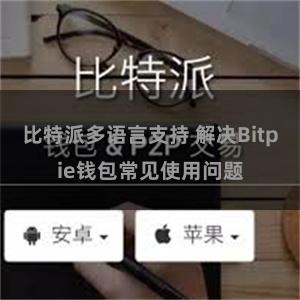 比特派多语言支持 解决Bitpie钱包常见使用问题