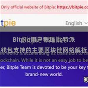 Bitpie用户教程 比特派钱包支持的主要区块链网络解析