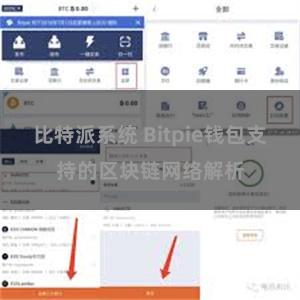 比特派系统 Bitpie钱包支持的区块链网络解析