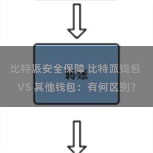 比特派安全保障 比特派钱包 VS 其他钱包：有何区别？