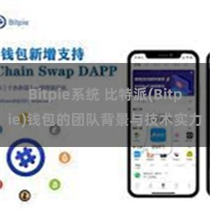 Bitpie系统 比特派(Bitpie)钱包的团队背景与技术实力