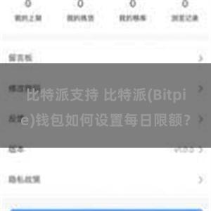 比特派支持 比特派(Bitpie)钱包如何设置每日限额？