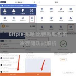 Bitpie提现 比特派钱包的冷存储功能解析