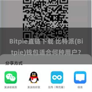 Bitpie直链下载 比特派(Bitpie)钱包适合何种用户？