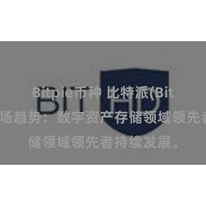 Bitpie币种 比特派(Bitpie)钱包市场趋势：数字资产存储领域领先者持续发展。