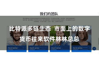 比特派多链生态  市面上的数字货币往来软件林林总总