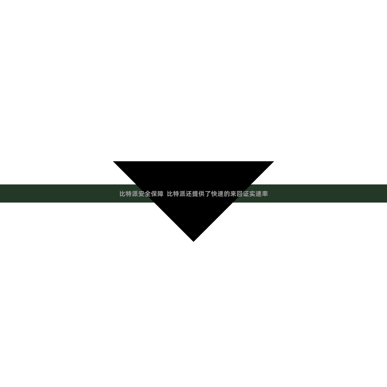 比特派安全保障  比特派还提供了快速的来回证实速率
