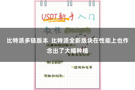 比特派多链版本  比特派全新版块在性能上也作念出了大幅种植